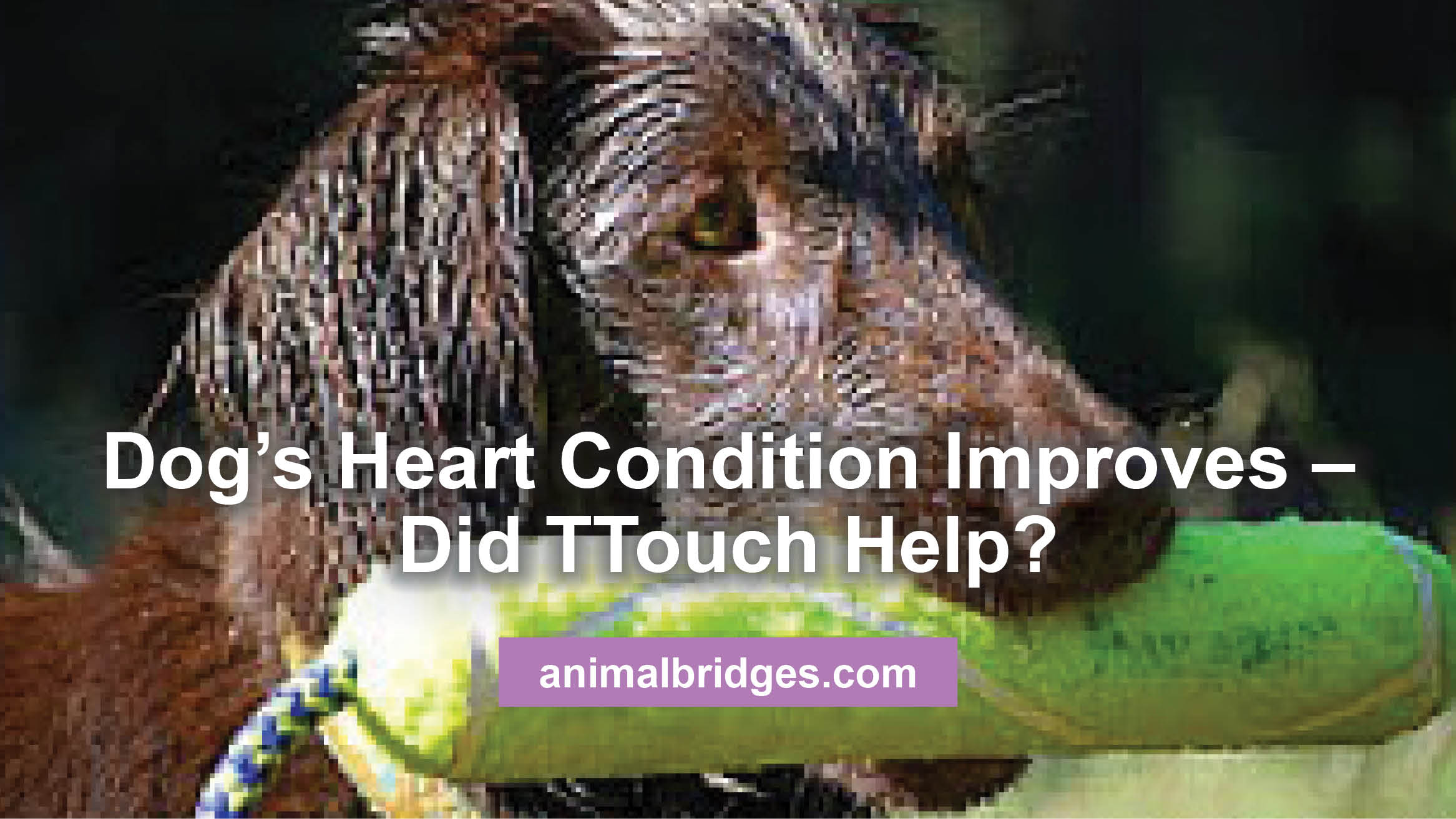 How To Talk To Kids About A Parent’s Heart Condition How To Talk To Kids About A Parent’s Heart Condition