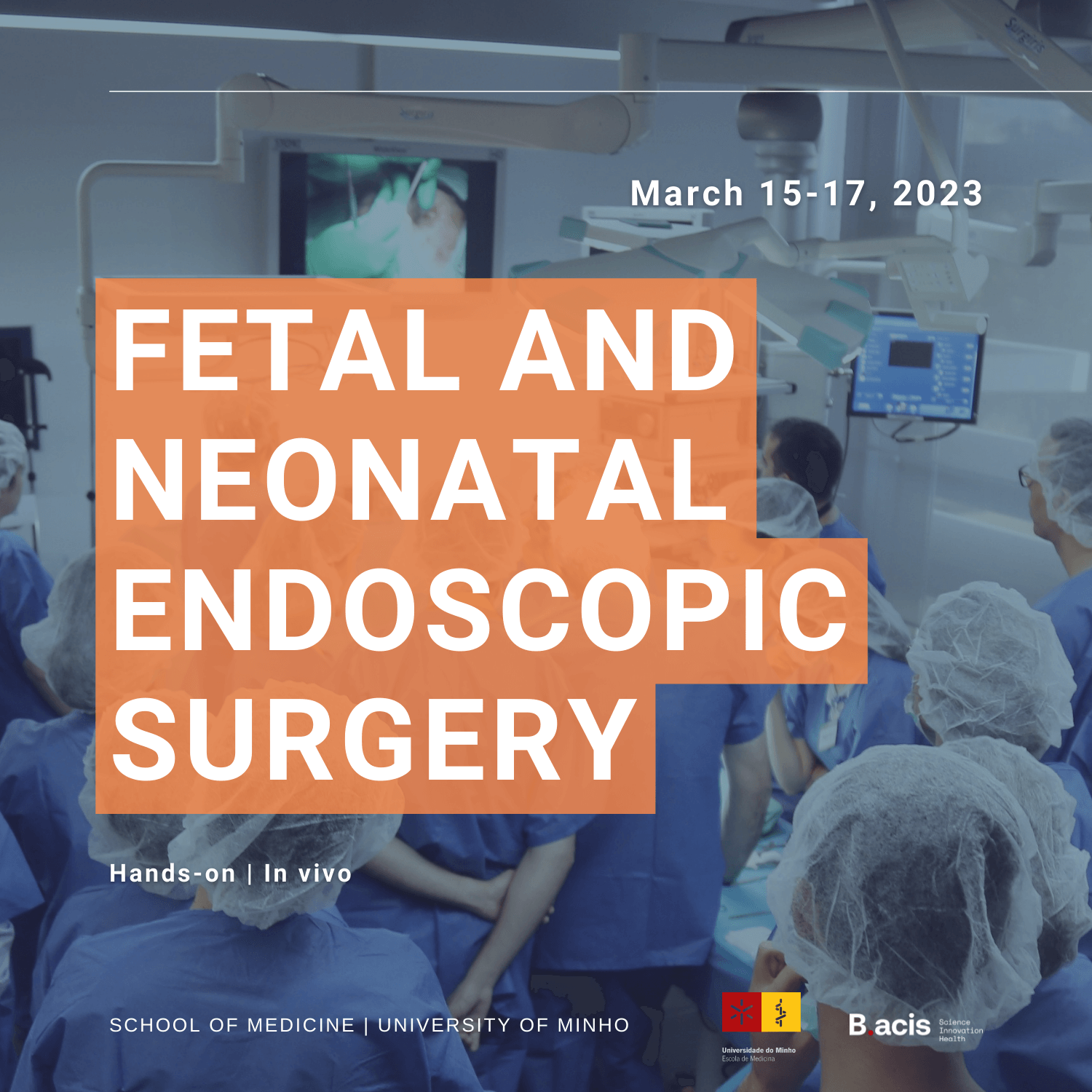 Bone Development In Fetal And Neonatal Periods: A Comprehensive Overview Bone Development In Fetal And Neonatal Periods: A Comprehensive Overview