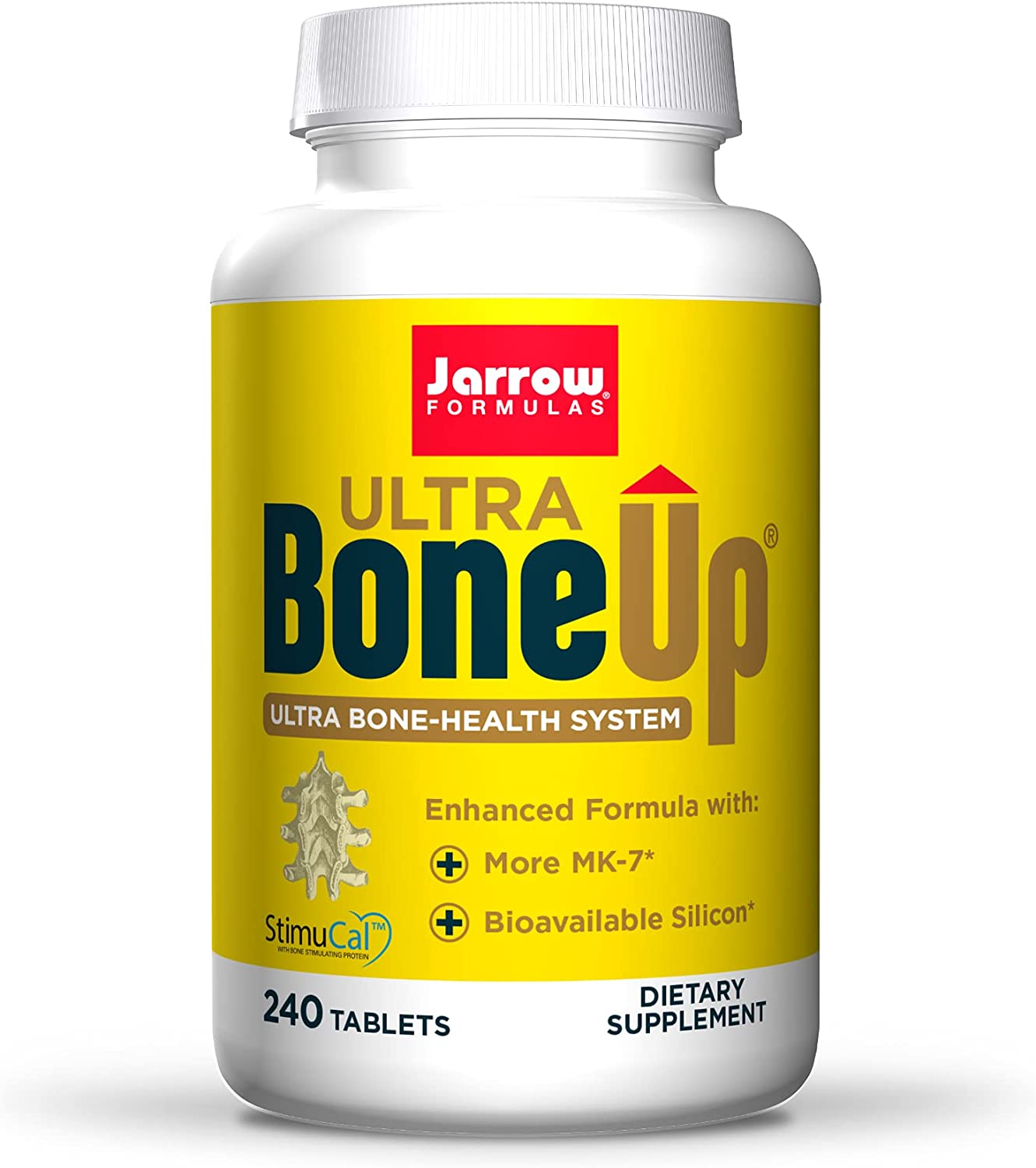 The Role Of Nutrition In Supporting Bone Density The Role Of Nutrition In Supporting Bone Density