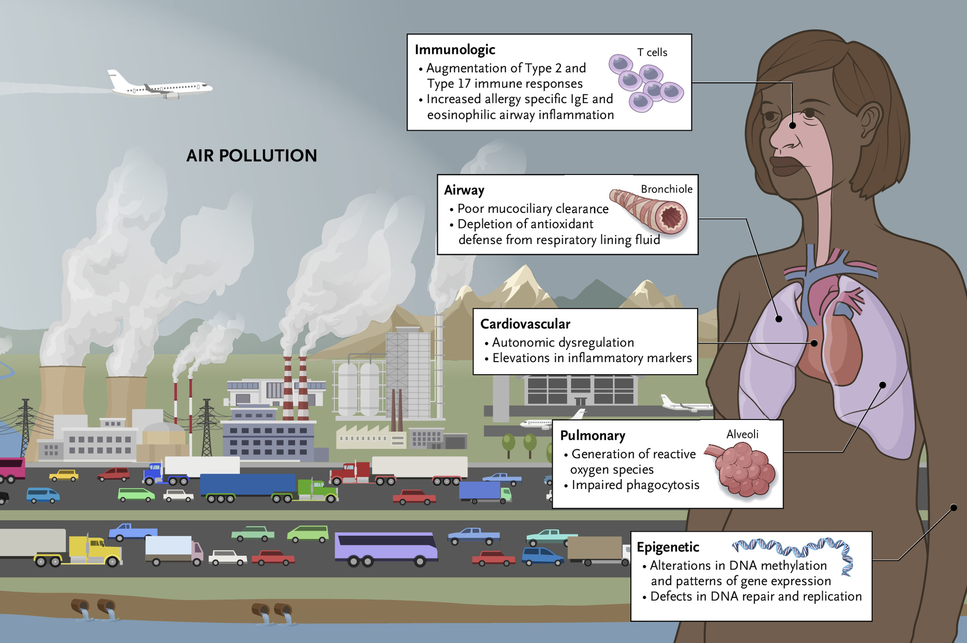How Climate Change Affects Cardiovascular Risk How Climate Change Affects Cardiovascular Risk