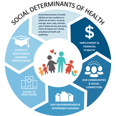 Bone Health And Social Determinants Of Health Bone Health And Social Determinants Of Health