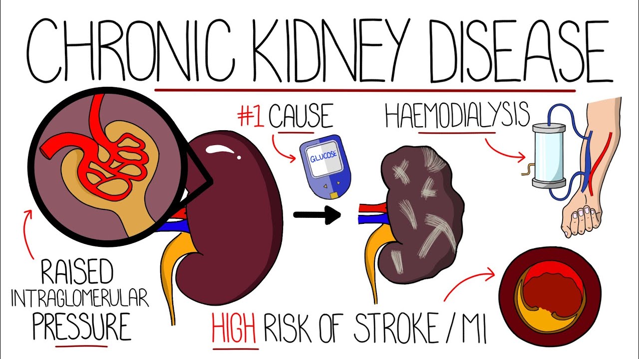 Environmental Factors And Chronic Disease Risk Environmental Factors And Chronic Disease Risk