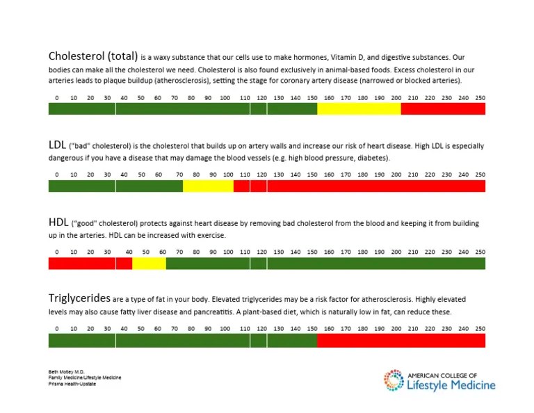 How To Read Your Lipid Panel: A Comprehensive Guide To Understanding Your Heart Health How To Read Your Lipid Panel: A Comprehensive Guide To Understanding Your Heart Health