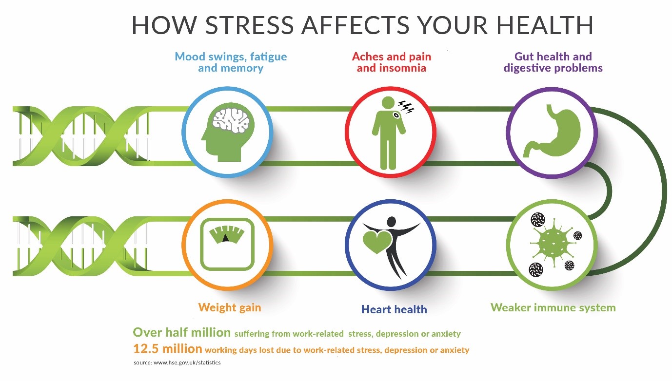 The Impact Of Stress On Heart Health: A Comprehensive Guide The Impact Of Stress On Heart Health: A Comprehensive Guide