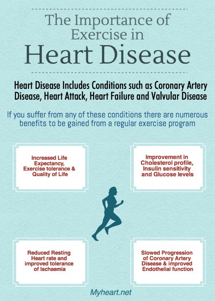 Exercise For Seniors With Heart Disease: A Comprehensive Guide Exercise For Seniors With Heart Disease: A Comprehensive Guide