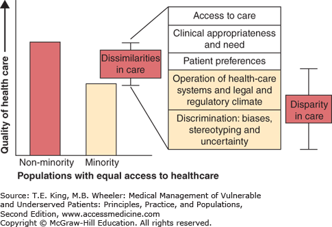Bone Health And Healthcare Disparities: A Comprehensive Overview Bone Health And Healthcare Disparities: A Comprehensive Overview