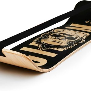 Amazing Balance Board Workout Equipment – Unleash Your Inner Power