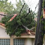 B-Section Tornado Confirmed, ‘Multiple, Severely Damaged Homes’ in B-Section, Some Homeless B-Section Tornado Confirmed, ‘Multiple, Severely Damaged Homes’ in B-Section, Some Homeless