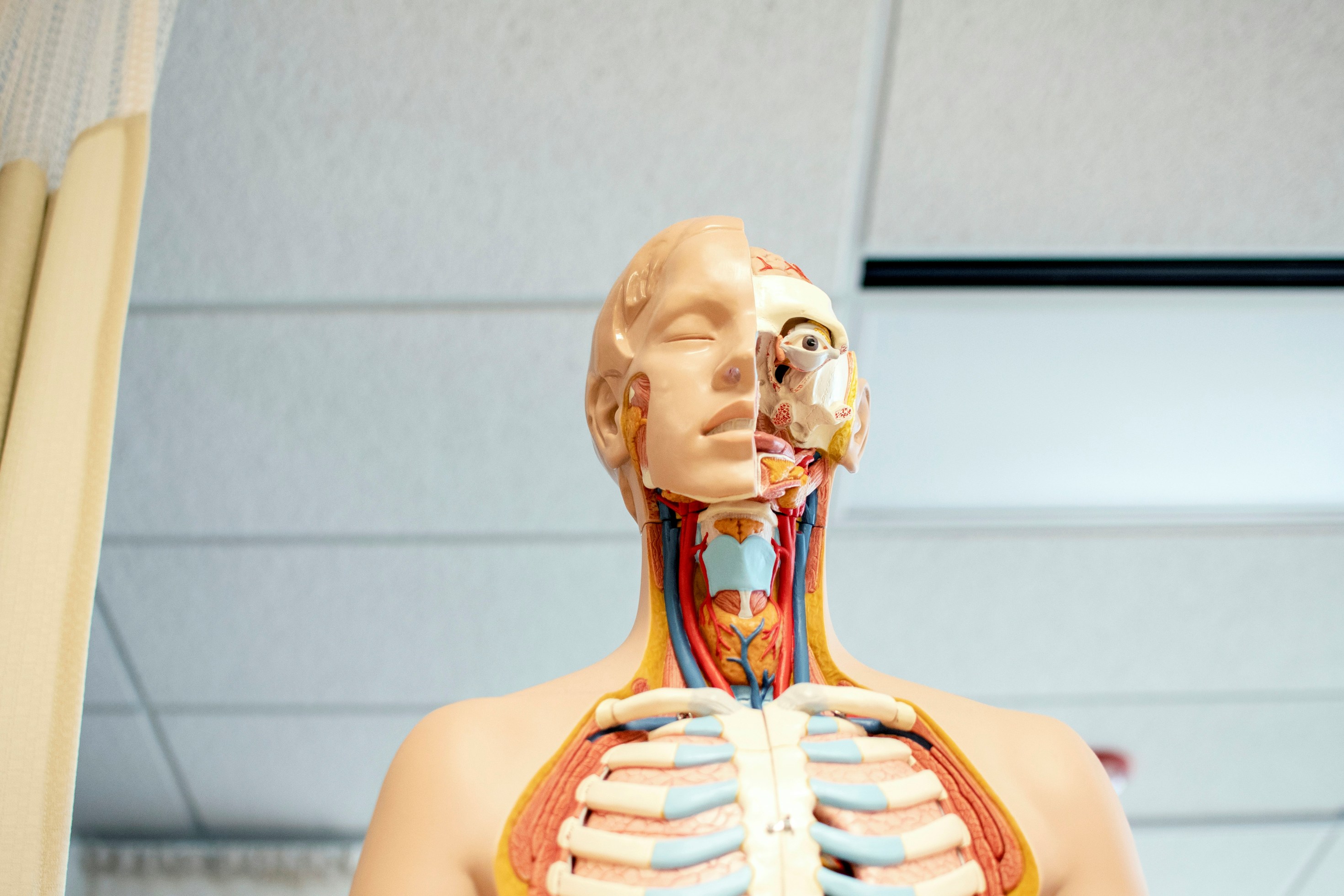 Biology Bonanza: Test Your Knowledge of Life! Biology Bonanza: Test Your Knowledge of Life!