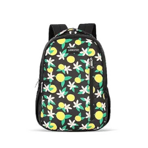 Lavie Casual Backpack at ₹699 | Amazon Deal Lavie Casual Backpack at ₹699 | Amazon Deal