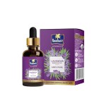 Parachute Advansed Lavender Essential Oil at ₹141 | Amazon Deal Parachute Advansed Lavender Essential Oil at ₹141 | Amazon Deal