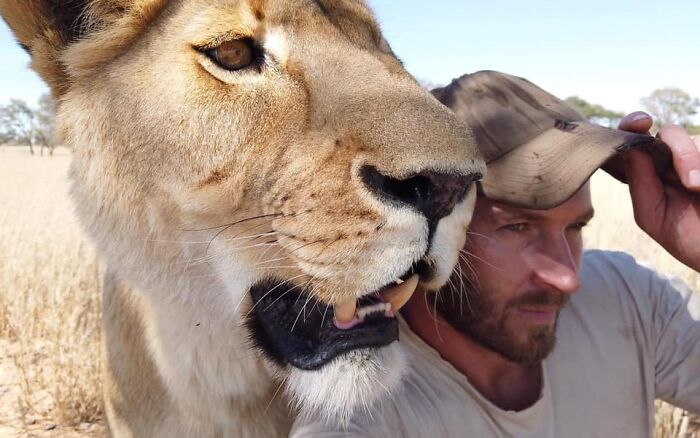 Unique Bond Formed Between A Lioness And Her Caregiver Continues To Grow Interview Unique Bond Formed Between A Lioness And Her Caregiver Continues To Grow Interview
