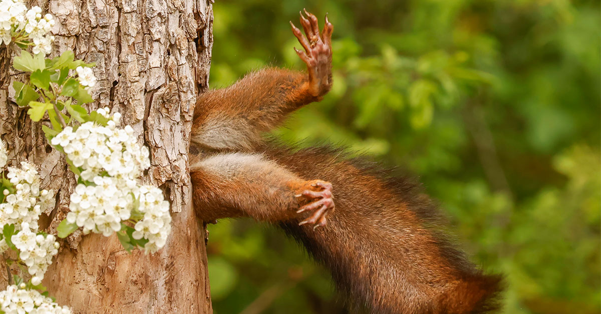 Incoming LOLZ: The Nikon Comedy Wildlife Awards will put a smile on your face Incoming LOLZ: The Nikon Comedy Wildlife Awards will put a smile on your face