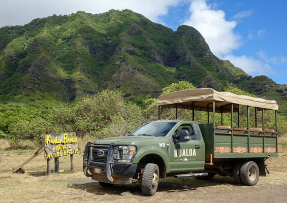 Pickup Truck Tours: Exploring Nature’s Hidden Gems Pickup Truck Tours: Exploring Nature’s Hidden Gems
