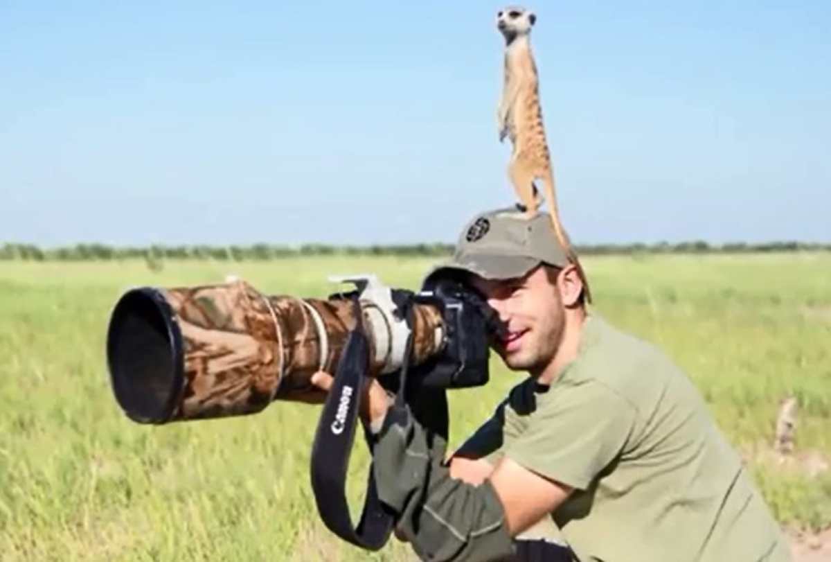 Hilarious Moment as Meerkats Use Photographer’s Camera As Their Lookout Post (VIDEO) Hilarious Moment as Meerkats Use Photographer’s Camera As Their Lookout Post (VIDEO)
