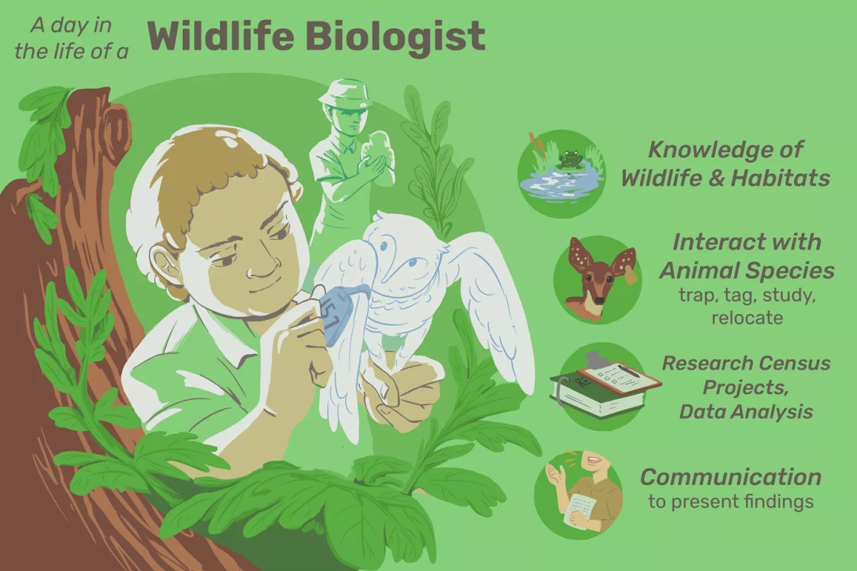 The Impact Of Wildlife Education On Student Career Choices The Impact Of Wildlife Education On Student Career Choices