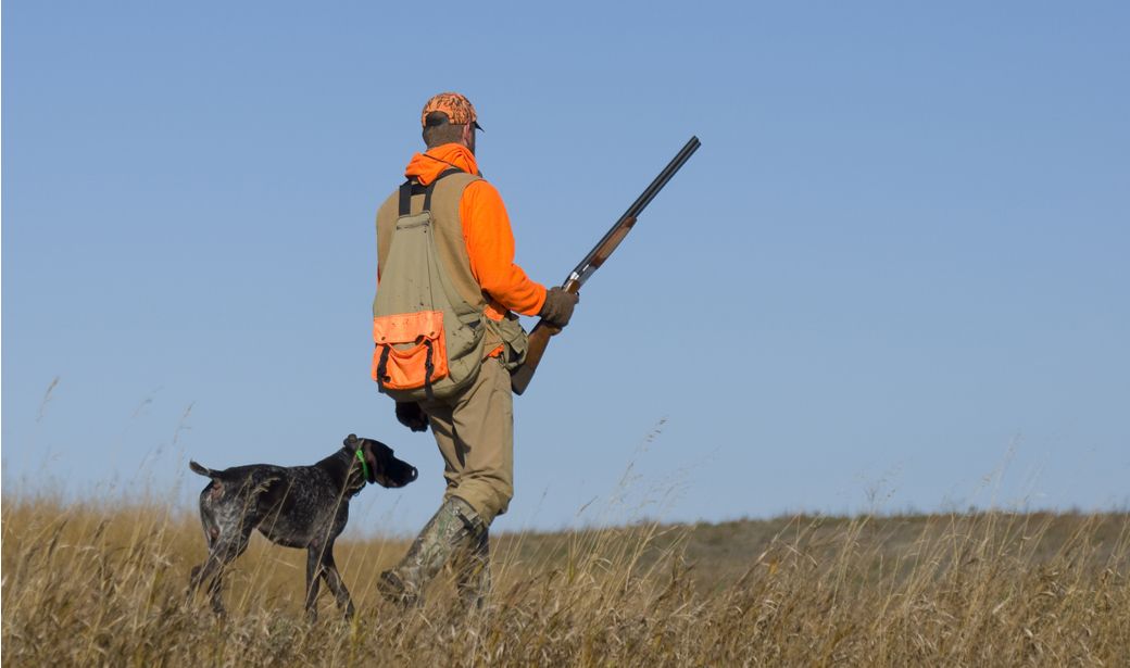 Tips for Staying Safe While Hunting Tips for Staying Safe While Hunting