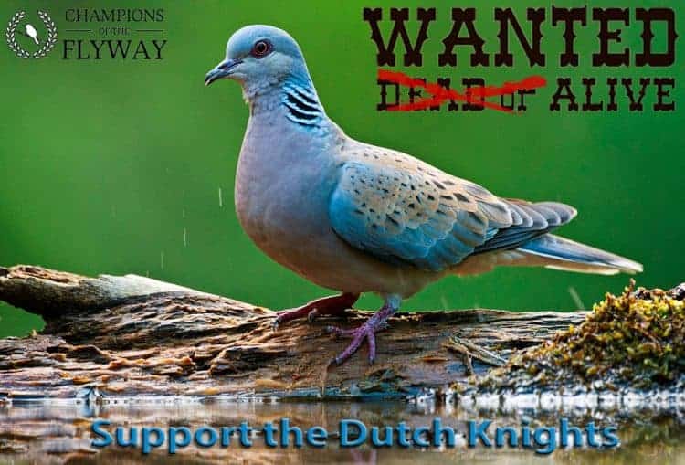 Champions of the Flyway 2016 Champions of the Flyway 2016