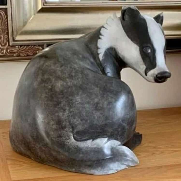 The British Badger Cull The British Badger Cull
