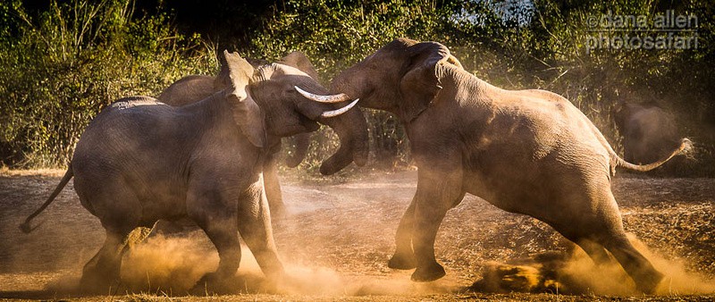 Clash of the Titans… Clash of the Titans…