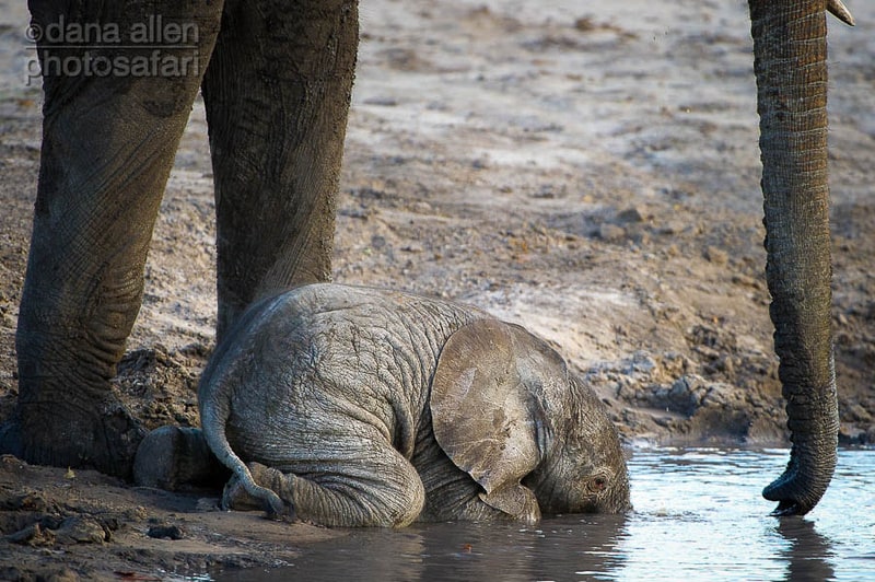 First Drink… First Drink…