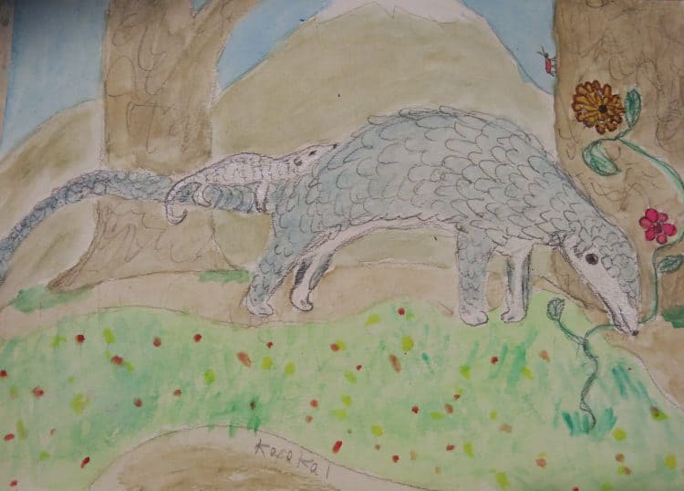 The Precious Pangolin The Precious Pangolin
