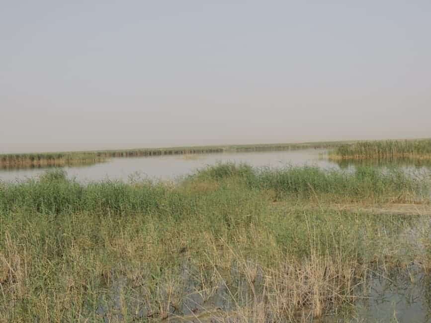 The Hassa “oasis” The Hassa “oasis”