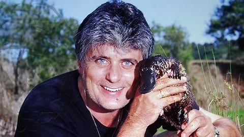 Platypus or Platypuses please .. Not Platypi Platypus or Platypuses please .. Not Platypi
