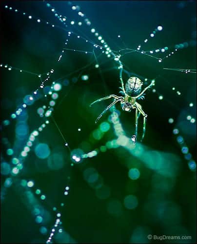 String Theory String Theory
