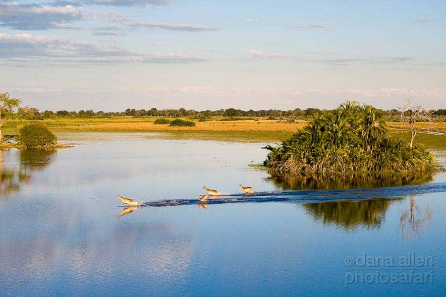 Reflections in Paradise… Reflections in Paradise…