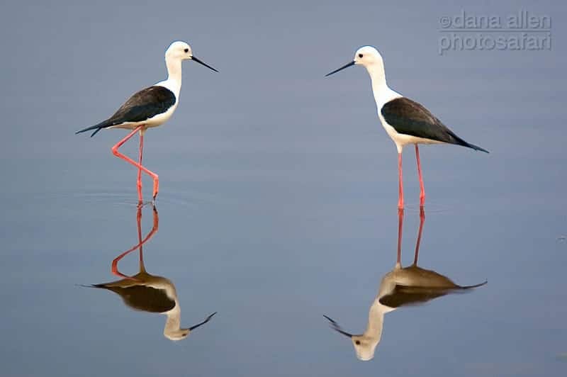 On Reflection… On Reflection…