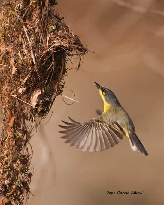 Best Photo of the Week Ended 31 Jan 2013 Best Photo of the Week Ended 31 Jan 2013