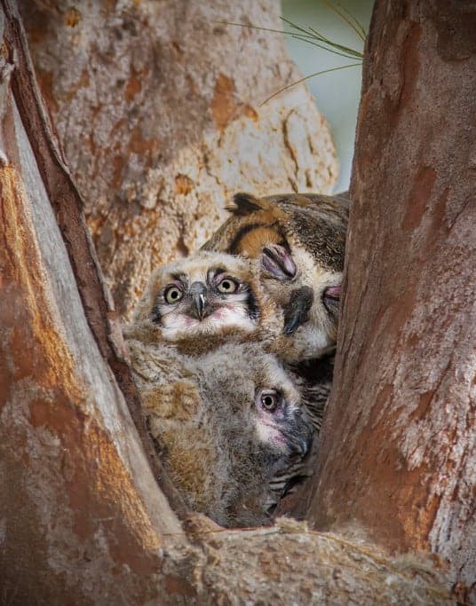 Best Photo of the Week Ended 09 Mar 2013 Best Photo of the Week Ended 09 Mar 2013