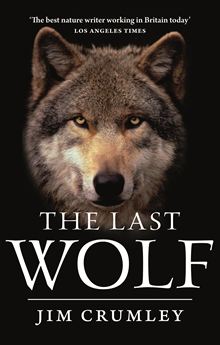 The Last Wolf – A Review The Last Wolf – A Review