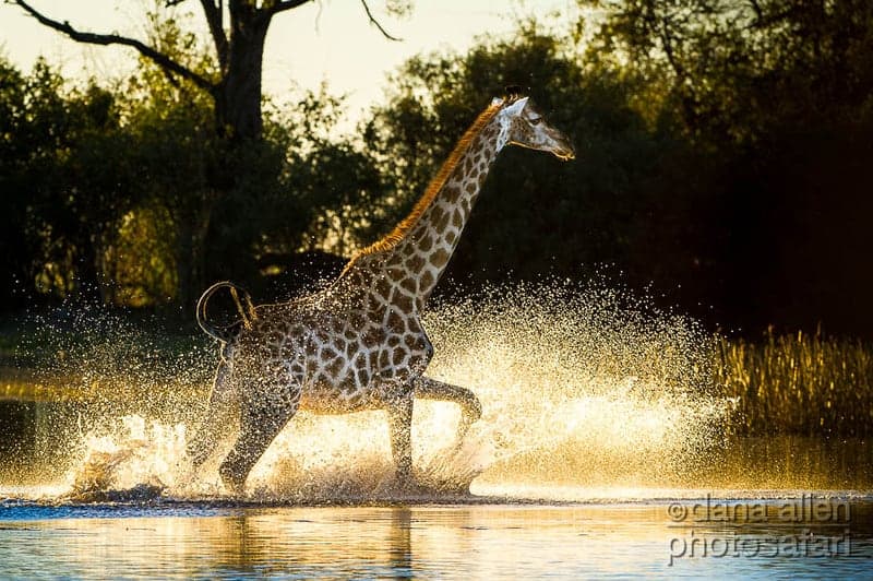Best Photo of the Week Ended 01 Jun 2013 Best Photo of the Week Ended 01 Jun 2013