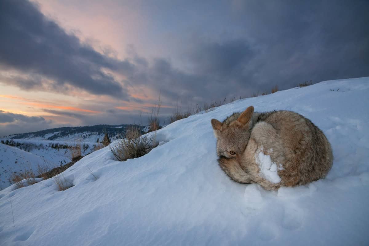 VOTE for the Best Photo of the Month October 2024 VOTE for the Best Photo of the Month October 2024