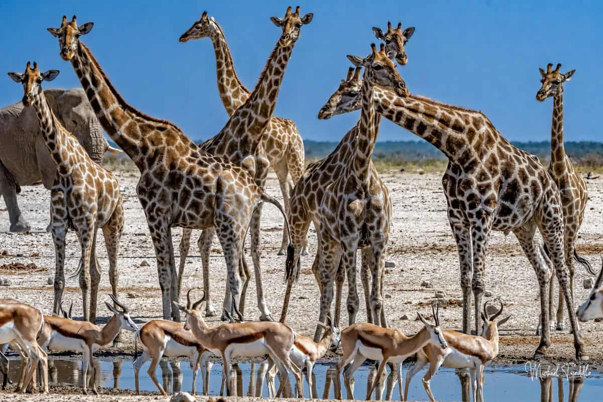 VOTE for the Best Photo of the Month August 2024 VOTE for the Best Photo of the Month August 2024