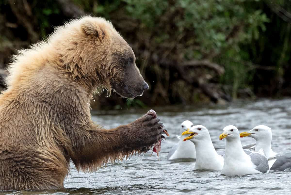 VOTE for the Best Photo of the Month January 2025 VOTE for the Best Photo of the Month January 2025