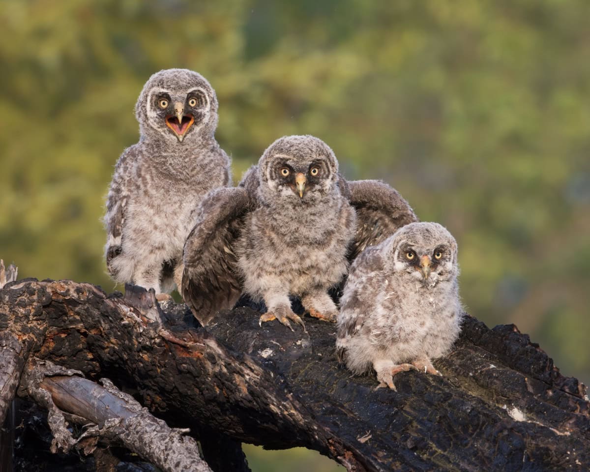 VOTE for the Best Photo of the Month September 2024 VOTE for the Best Photo of the Month September 2024