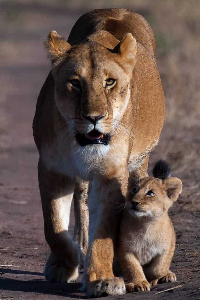 Results of the Best Photo of the Week Ended 04 Jul 2015 Results of the Best Photo of the Week Ended 04 Jul 2015