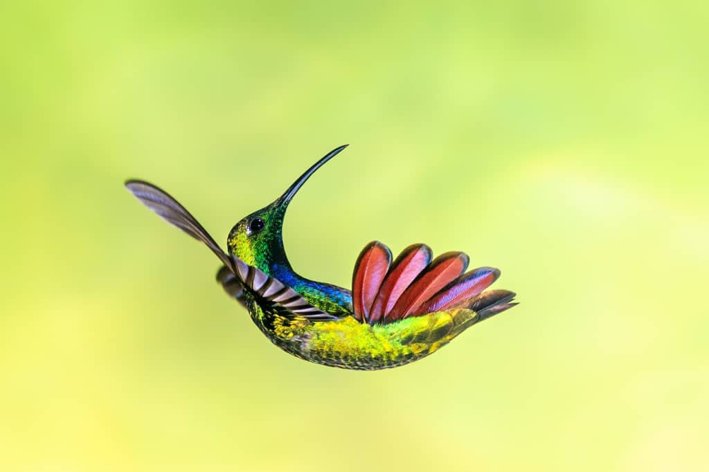 Results of the Best Photo of the Week Ended 02 Jan 2016 Results of the Best Photo of the Week Ended 02 Jan 2016