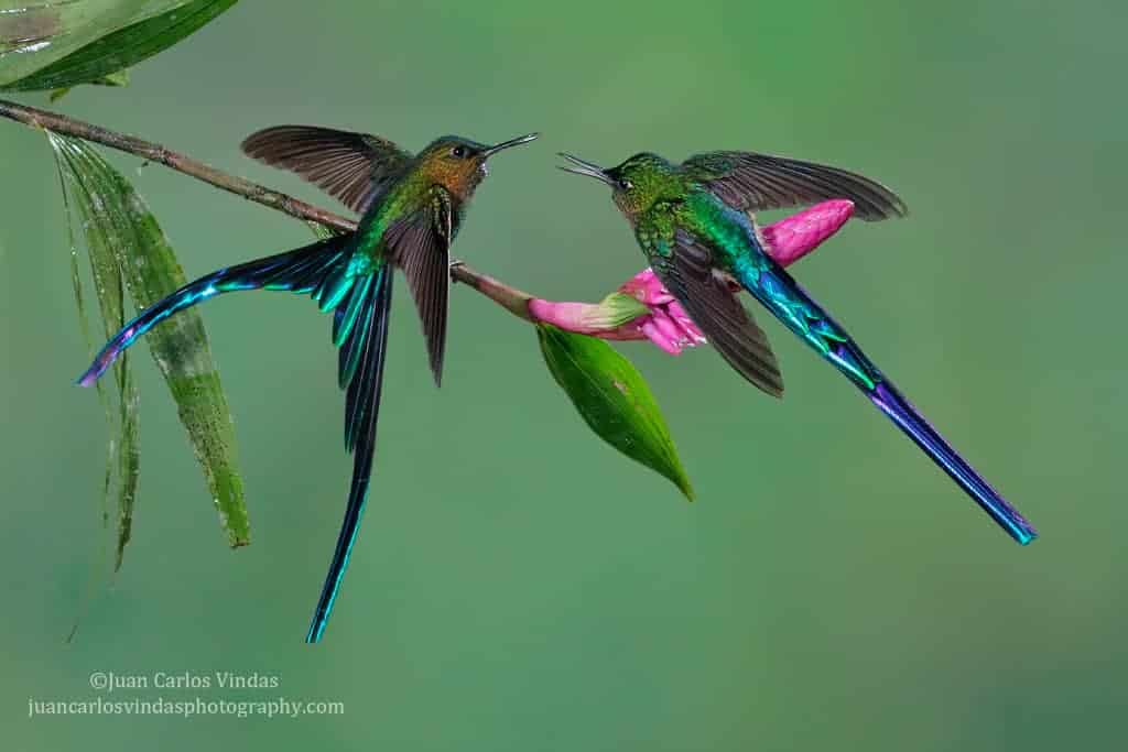 Results of the Best Photo of the Week Ended 11 Apr 2015 Results of the Best Photo of the Week Ended 11 Apr 2015