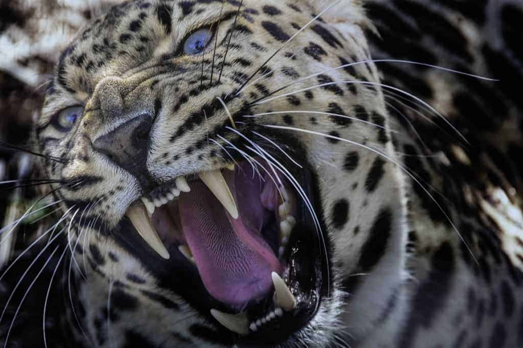 Results of the Best Photo of the Week Ended 13 Feb 2016 Results of the Best Photo of the Week Ended 13 Feb 2016