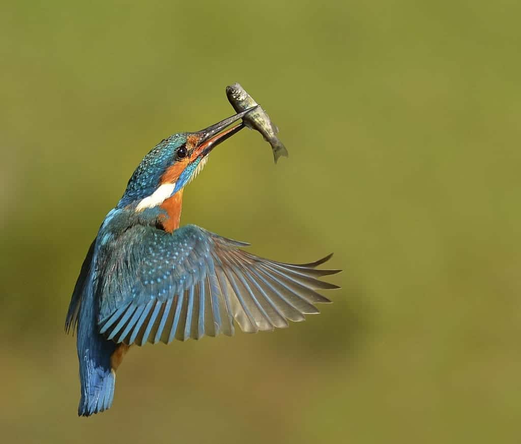 Results of the Best Photo of the Week Ended 18 Jul 2015 Results of the Best Photo of the Week Ended 18 Jul 2015