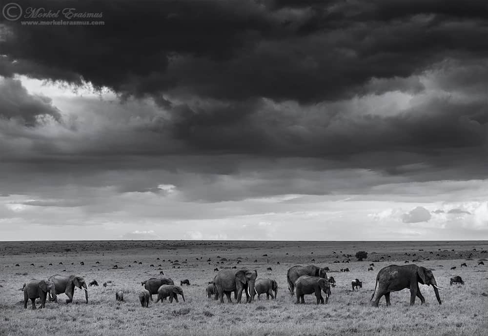 Results of the Best Photo of the Week Ended 25 Apr 2015 Results of the Best Photo of the Week Ended 25 Apr 2015