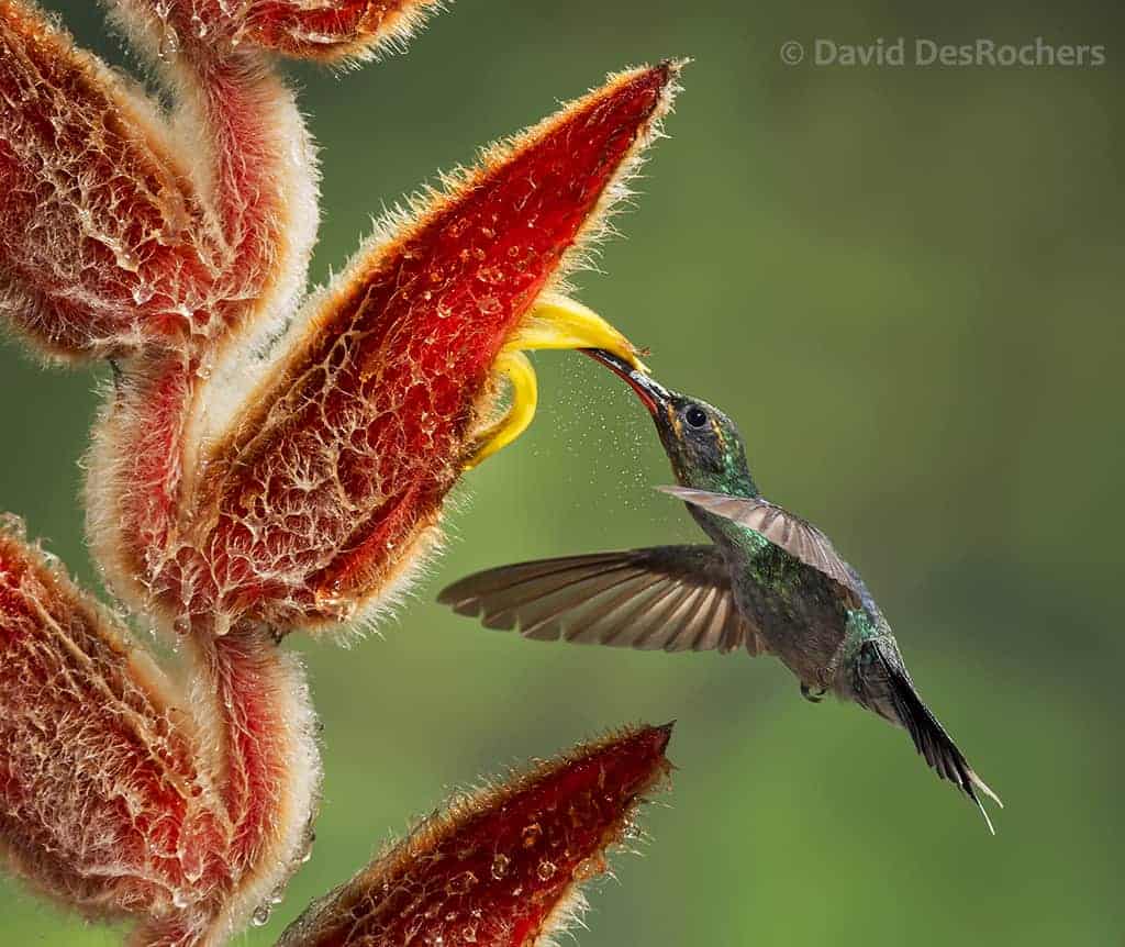 Results of the Best Photo of the Week Ended 28 Mar 2015 Results of the Best Photo of the Week Ended 28 Mar 2015