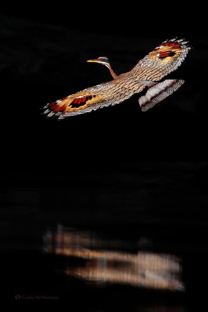 Results of the Best Photo of the Week Ended 30 Jan 2016 Results of the Best Photo of the Week Ended 30 Jan 2016
