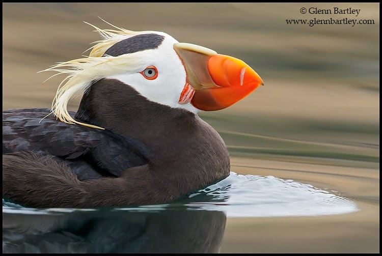 VOTE for the Best Photo of the Week 16 Jan 2016 VOTE for the Best Photo of the Week 16 Jan 2016