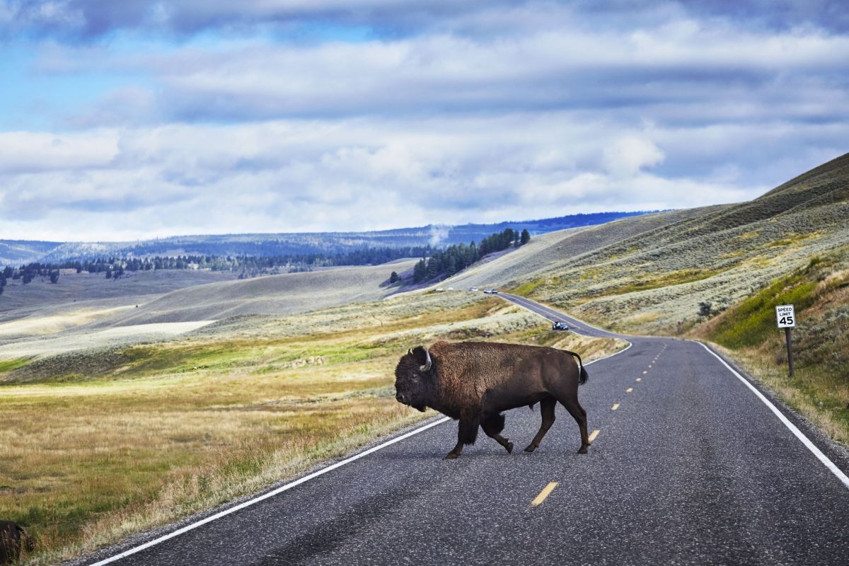 Trump reportedly eyes m in funding cuts for US national parks Trump reportedly eyes m in funding cuts for US national parks