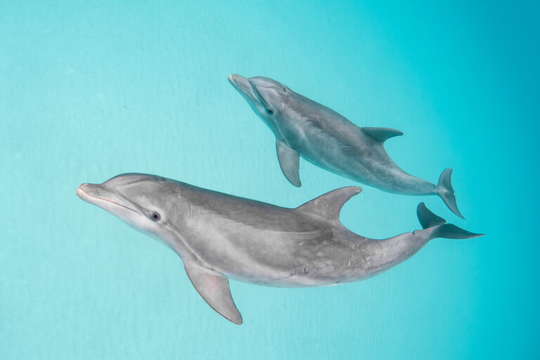 Local groups drive creation of new Puerto Rico marine protected area Local groups drive creation of new Puerto Rico marine protected area